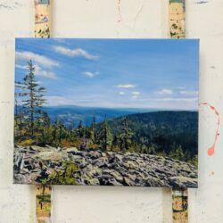 Commissioned paintings