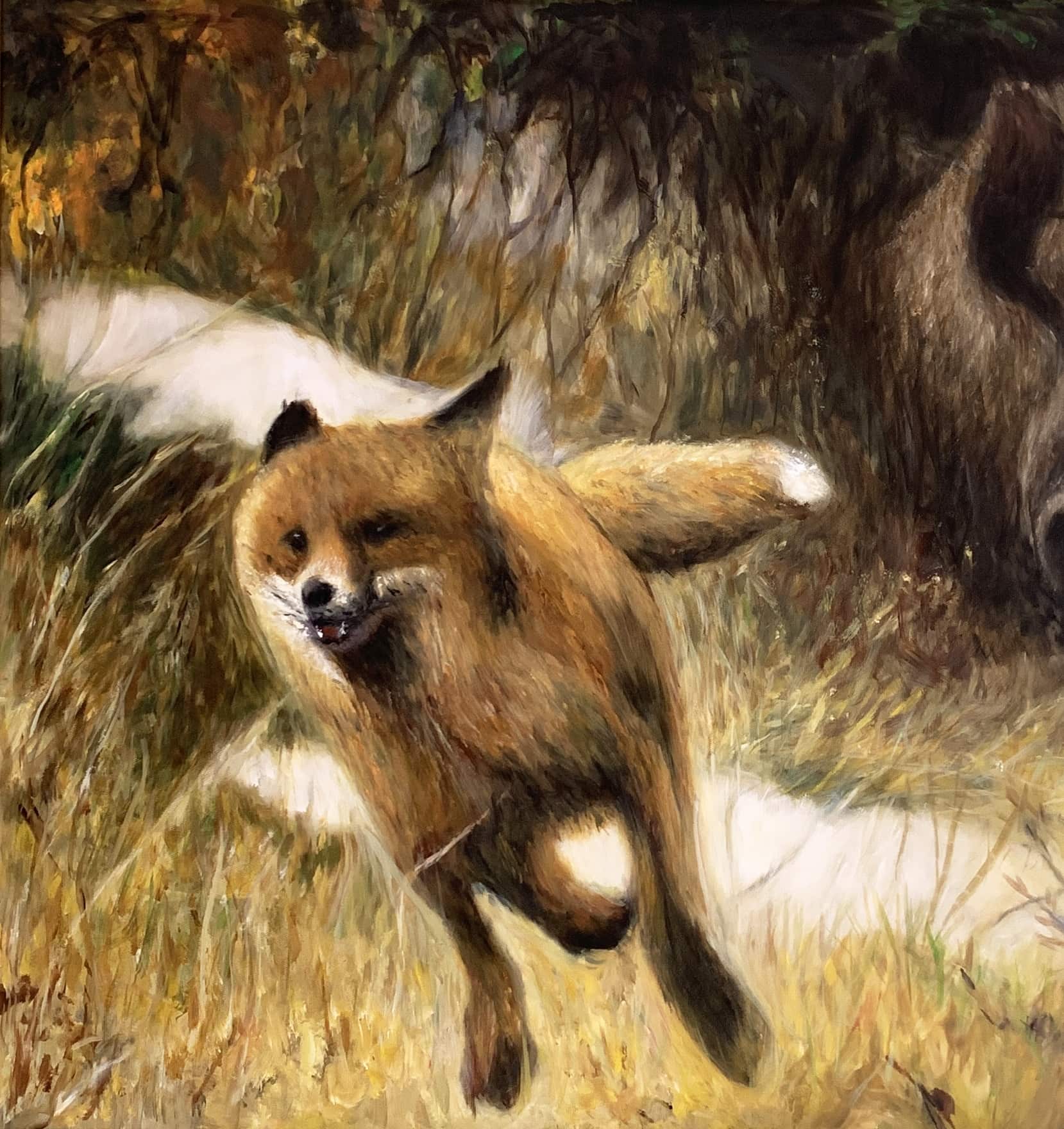 art-copy-fox-in-the-forest-animals