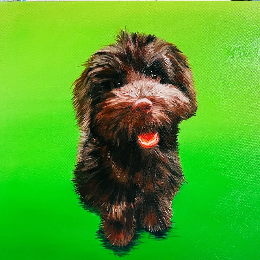 High-resolution image of a cute, fluffy puppy with a joyful expression, detailed fur, and a vibrant green background, showcasing the artist Nikolaus Kriese's talent for pet portrait commissions.