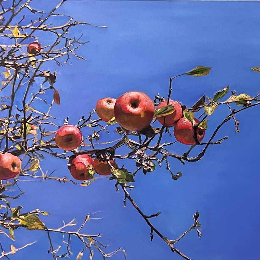 Up of a tree branch bearing several red apples, with some leaves and twigs visible, set against a bright blue sky background.